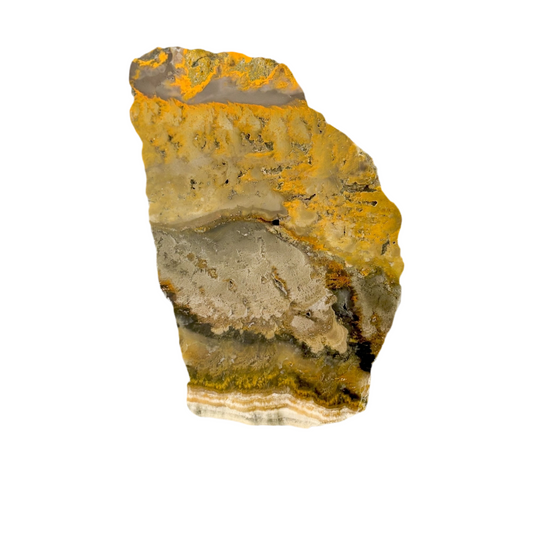 Front view of a Bumblebee Jasper Slab showing vibrant yellow and earthy tones.