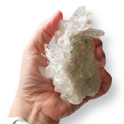 Raw Clear Quartz Cluster known for clarity, intention-setting, and energy amplification.
