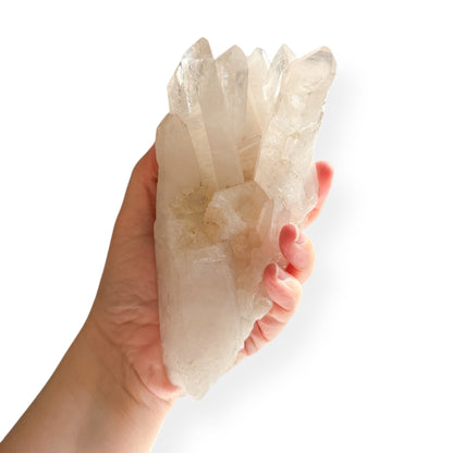 Clear Quartz Point Cluster with transparent crystal points on white background