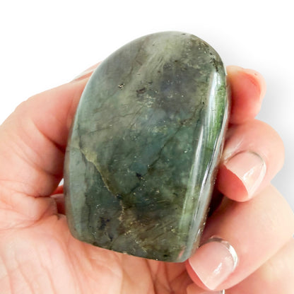 Back view of a polished Labradorite free form showing natural gray-green coloring and mineral inclusions.