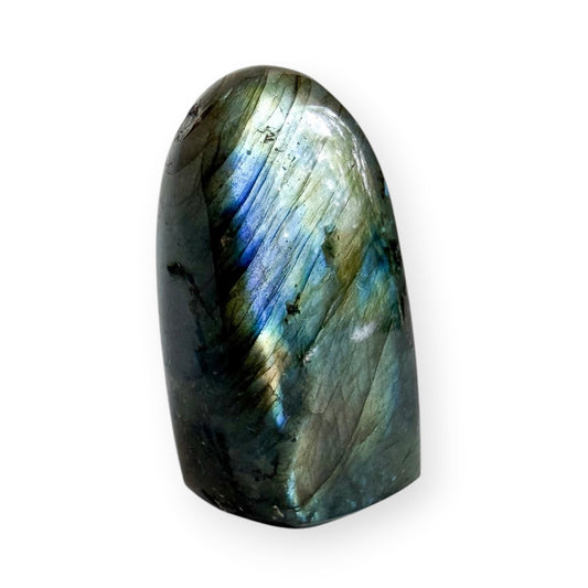 Polished Labradorite free form displaying vibrant blue flash across the front face.