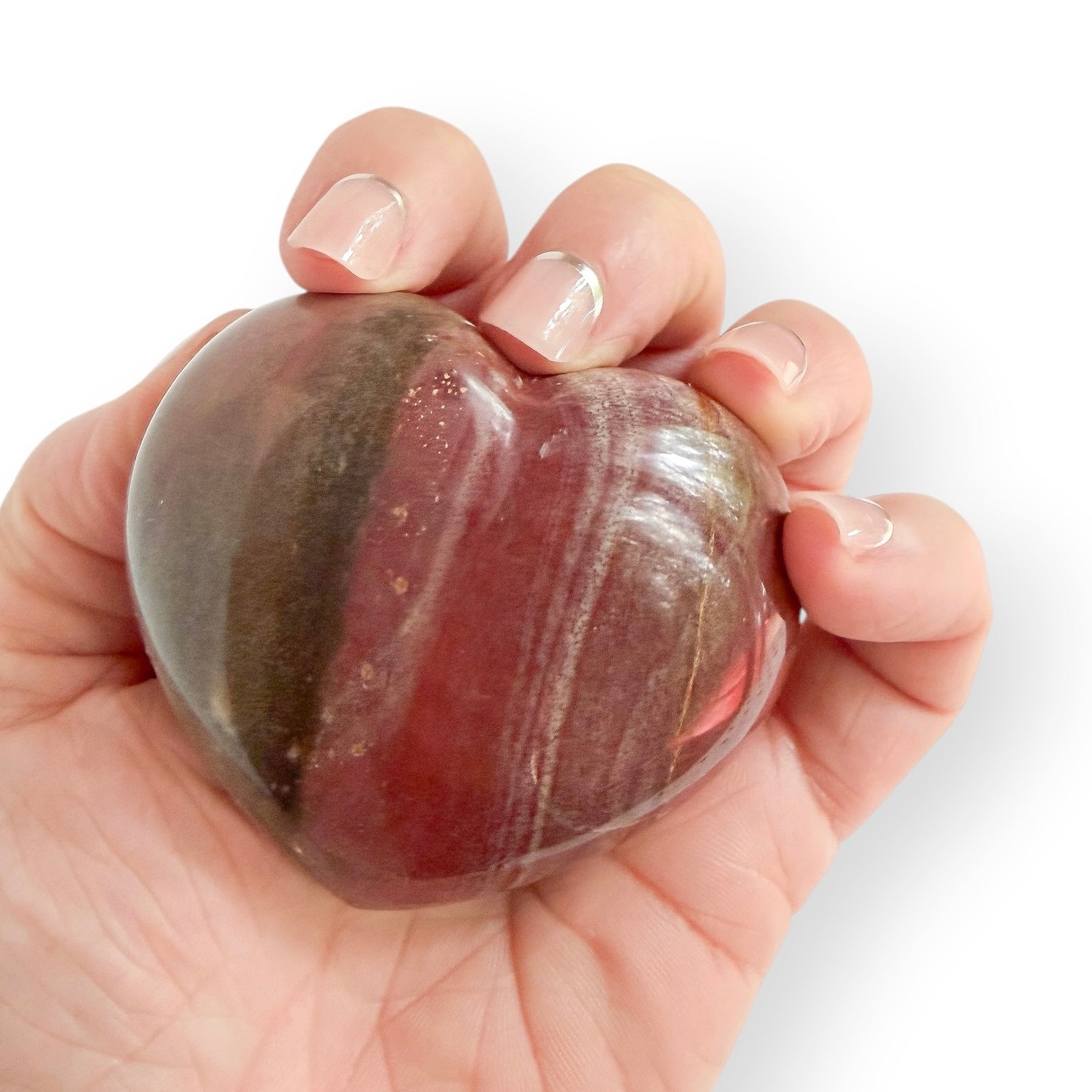 Hand holding a Madagascar Petrified Wood heart showcasing natural fossilized wood patterns and earthy tones.