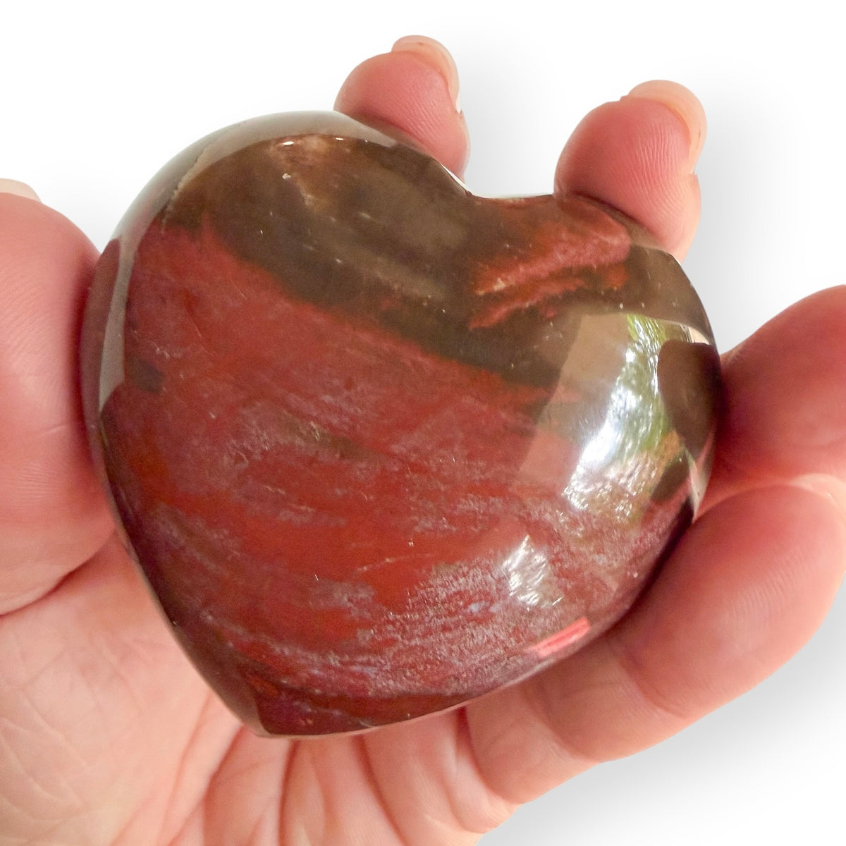 Hand holding a polished Madagascar Petrified Wood heart with deep red and brown fossilized wood coloration.