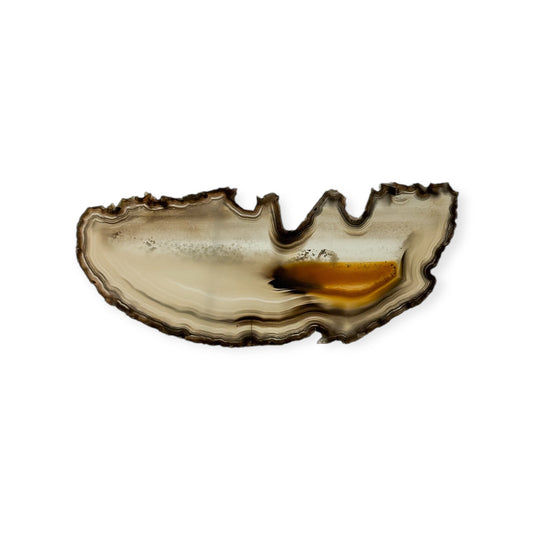 Medium agate slice with layered bands in black, gray, and brown