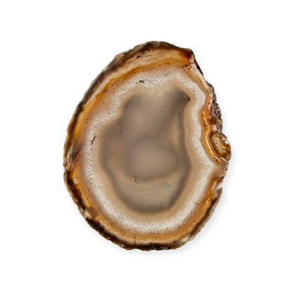 Medium agate slice with neutral tones of brown, white, and gray