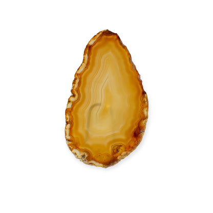 Bright yellow and orange agate slice with warm banding
