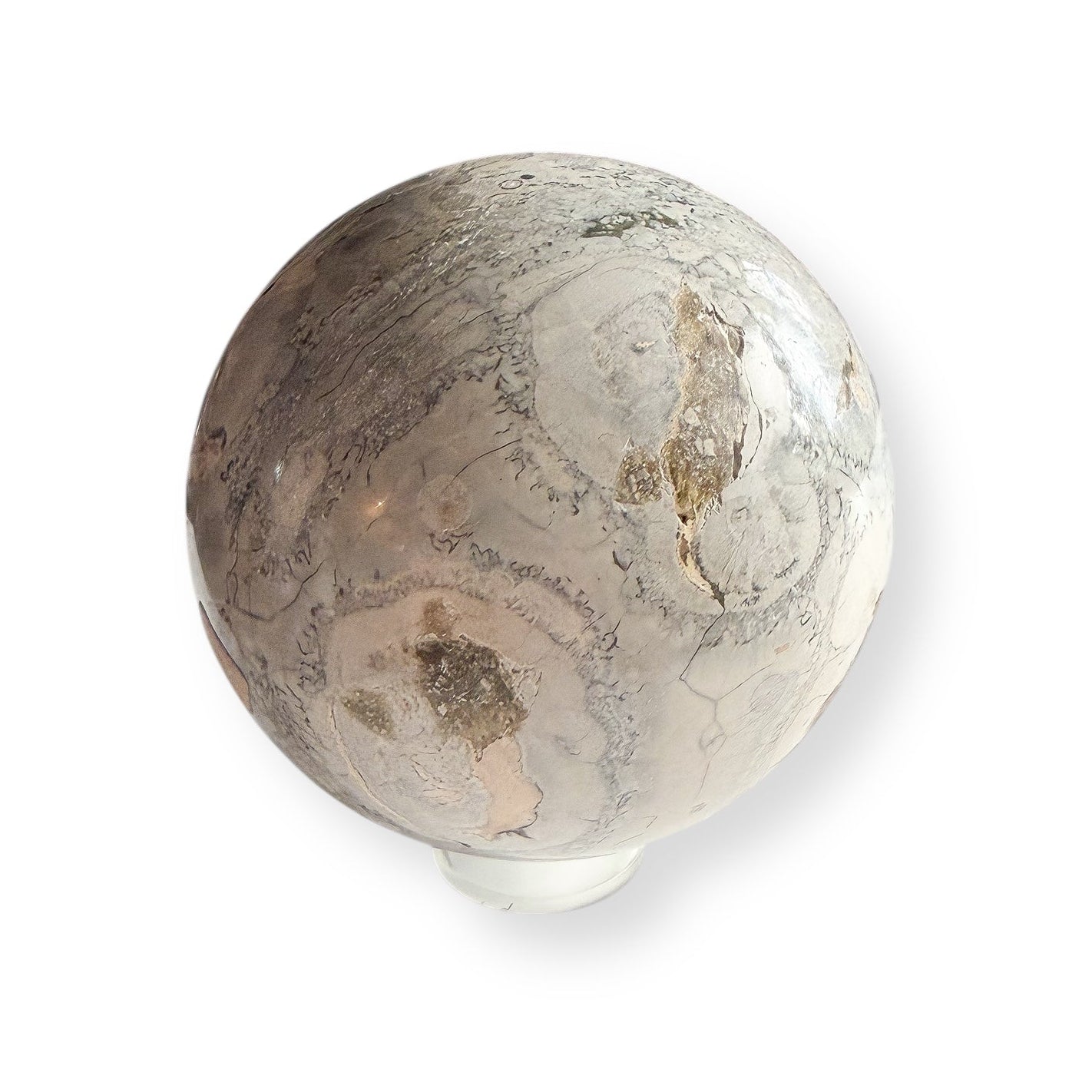 Orbicular Rhyolite sphere front view showing natural circular patterns and neutral tones