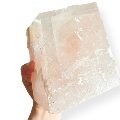 Hand holding extra large pink Icelandic Calcite to show size and scale.