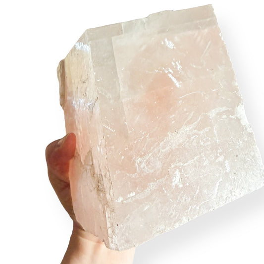 Hand holding extra large pink Icelandic Calcite to show size and scale.