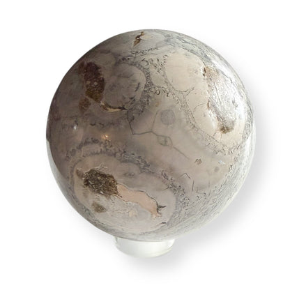 Sea Grass Agate sphere side profile with soft beige, gray, and sand-colored swirls