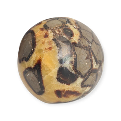 Close-up of a Septarian sphere showing natural calcite, aragonite, and limestone pattern