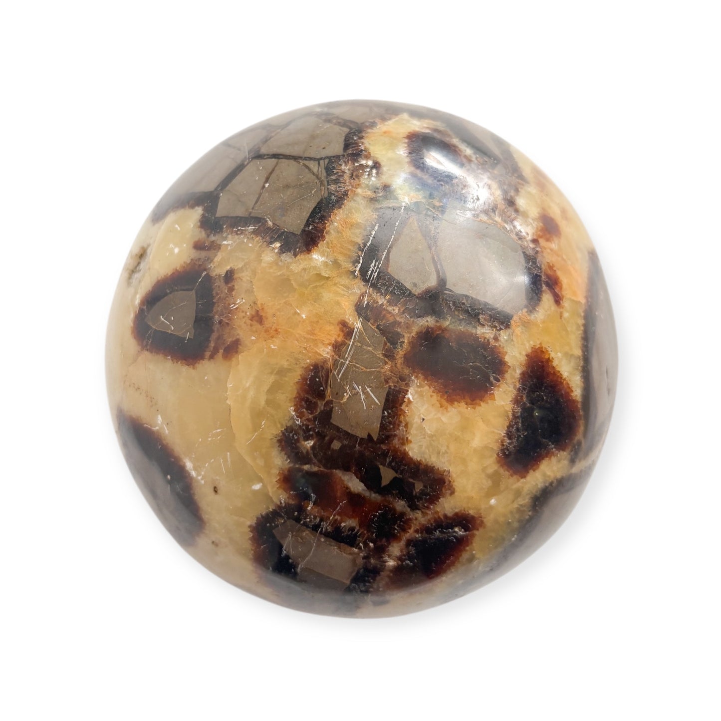 Detailed view of polished Septarian crystal sphere with natural mineral swirls and shapes