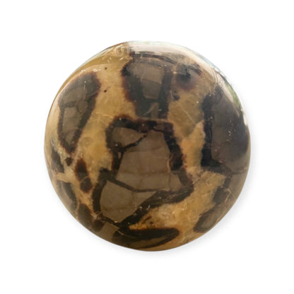 Side angle of Septarian sphere highlighting its cracked-earth pattern and earthy tones