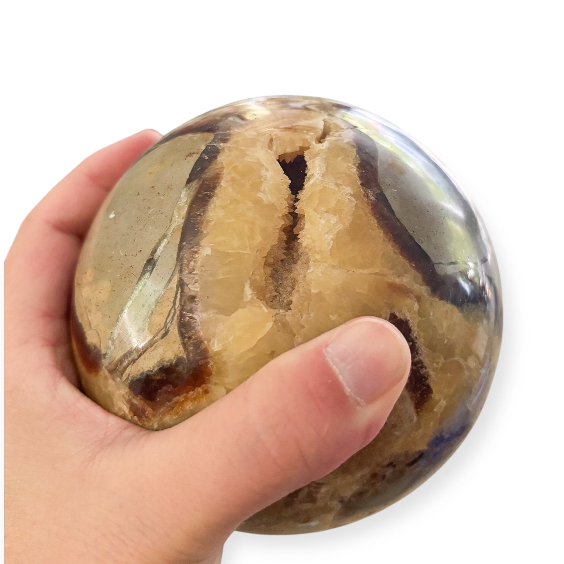 Septarian sphere with druzy shown in hand for size reference