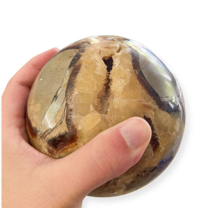 Septarian sphere with druzy shown in hand for size reference