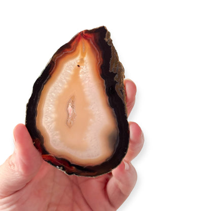 Hand holding small blue-yellow agate for display