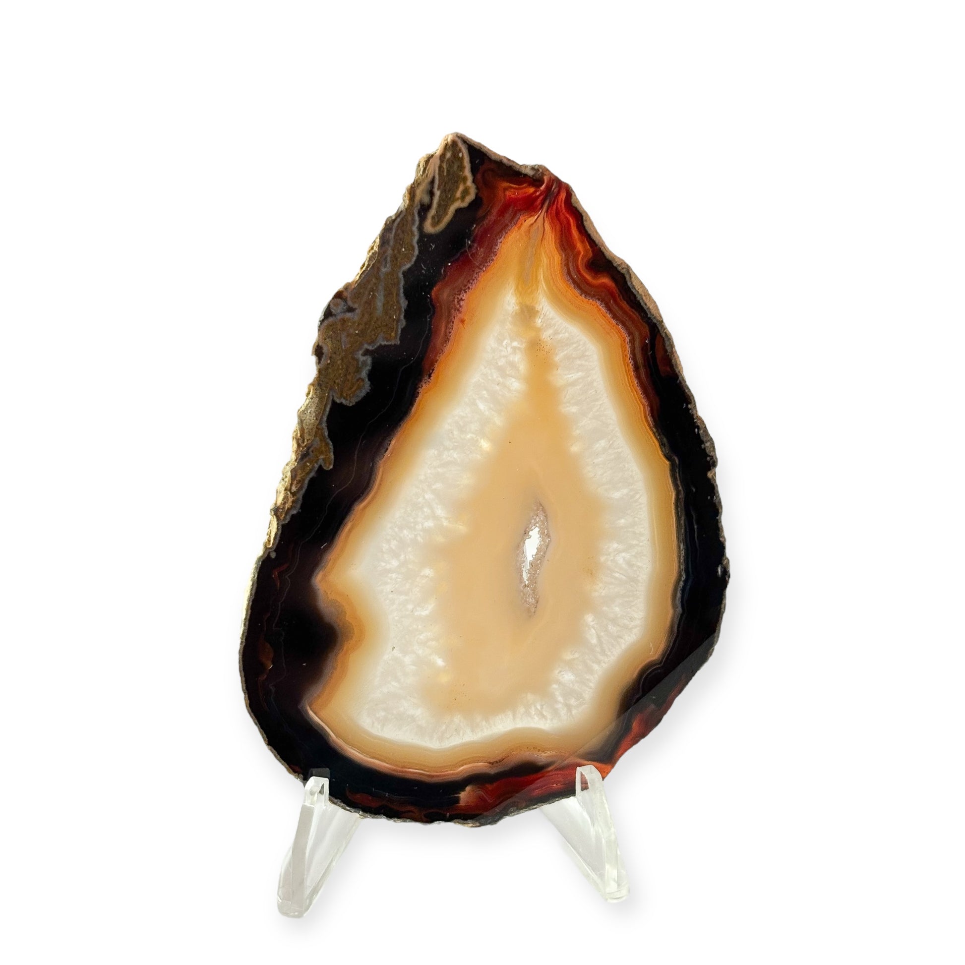 Blue and yellow banded agate slice