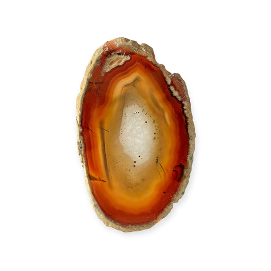 Polished orange and brown agate slice with natural banding