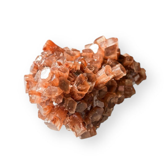 Star Aragonite crystal cluster with natural radiating points in earthy brown tones.