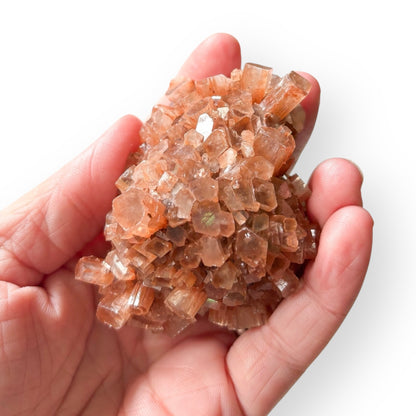 Star Aragonite crystal cluster held in hand to show size and natural details.