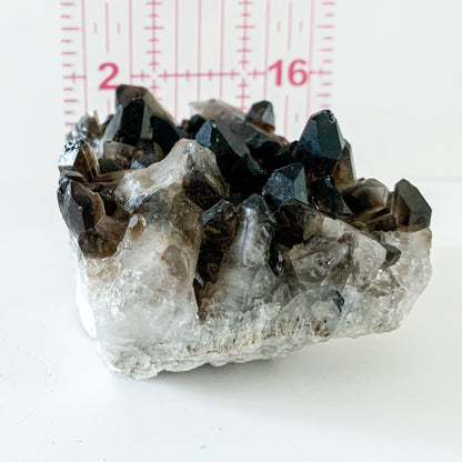 Smoky Quartz Clusters