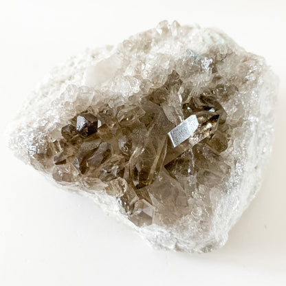 Smoky Quartz Cluster with rich brown crystal points on a white base